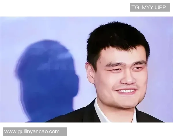 海德深度解析姚明的篮球生涯与影响力探讨